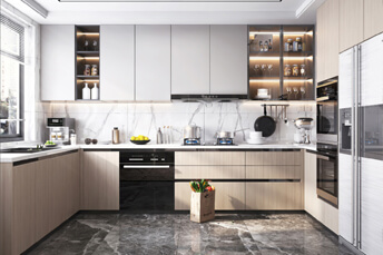 Modern Minimalist Luxury kitchen