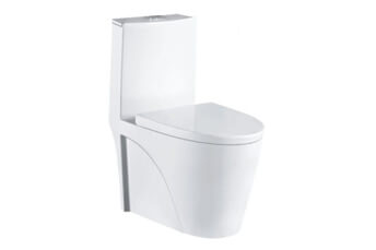 monoblock toilets
