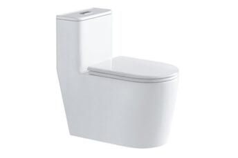 siphonic toilet one block