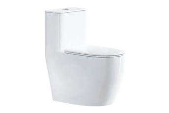 one piece monoblock toilet white
