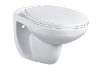 wall hung toilets from foshan